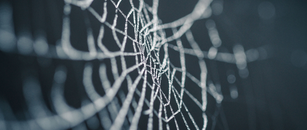 Silhouette of a spider web