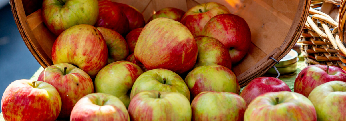 apples in a basket