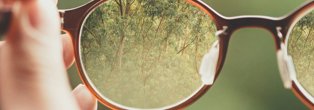 a person holding their glasses