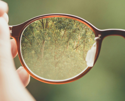 a person holding their glasses