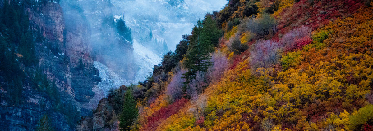 mountain side displaying fall colors