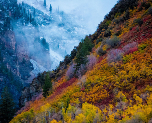 mountain side displaying fall colors