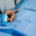 hand in a hospital bed with a blood pressure monitor