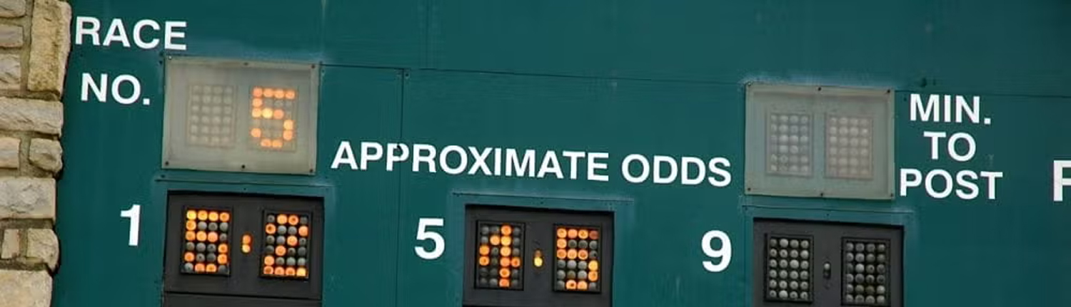 board displaying the odds for a race