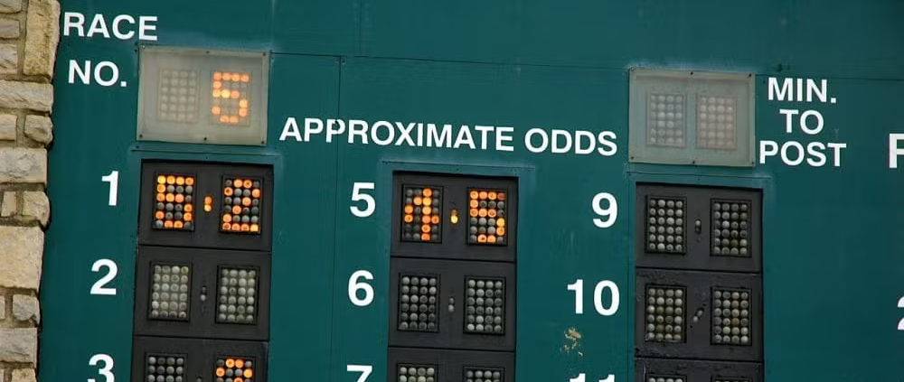 board displaying the odds for a race